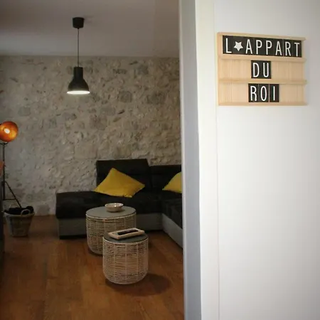 Lägenhet Les Du Chateau - 2 Magnifiques Face Au Chateau Henri Iv