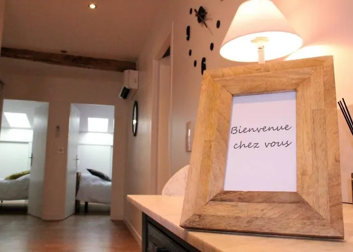 Les Du Chateau - 2 Magnifiques Face Au Chateau Henri Iv * Nérac