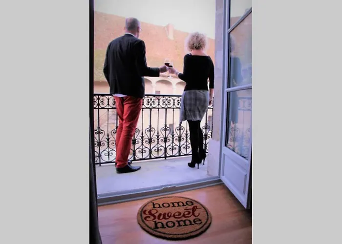 Les Du Chateau - 2 Magnifiques Face Au Chateau Henri Iv *